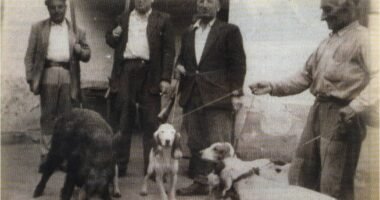 Antiguos cazadores con sus perros y escopetas antes de ir de monteria en españa